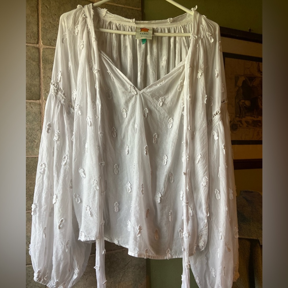 Farm Rio Anthropologie Peasant blouse Large